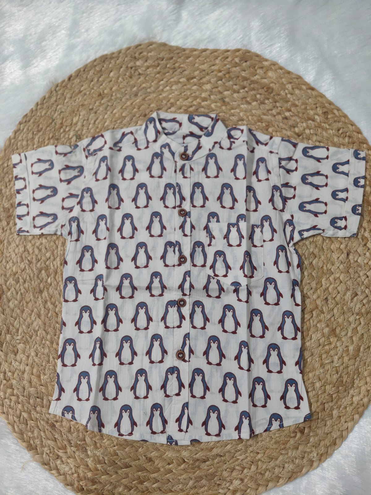 White & Blue Penguin